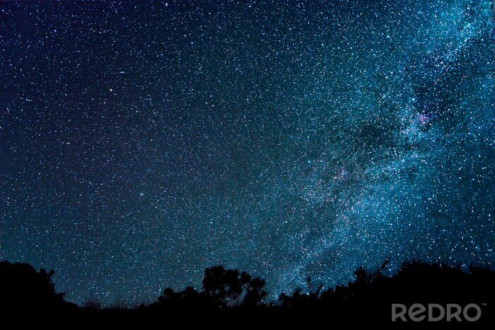 Fototapete Nachtlandschaft mit Sternen