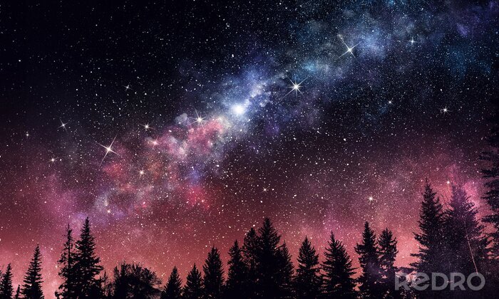 Fototapete Nachtlandschaft mit Wald und Sternen