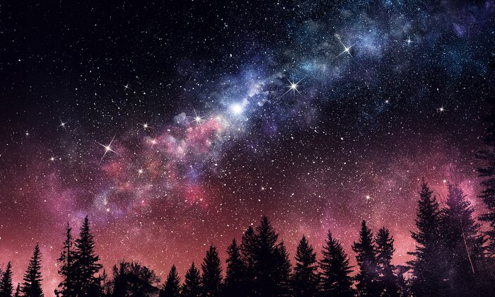 Fototapete Nachtlandschaft mit Wald und Sternen