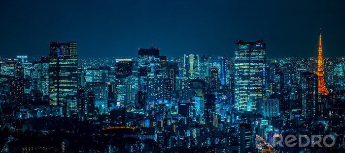 Fototapete Nächtliches Panorama von Tokio