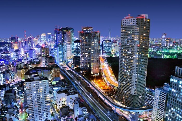 Fototapete Nächtliches Tokio auf Panorama