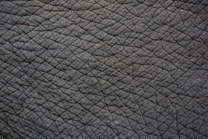 Fototapete Nahaufnahme von Elefantenhaut