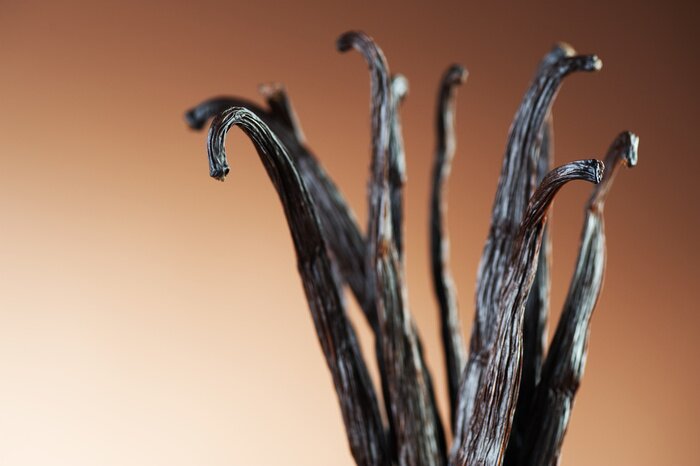 Fototapete Nahaufnahme von Vanille