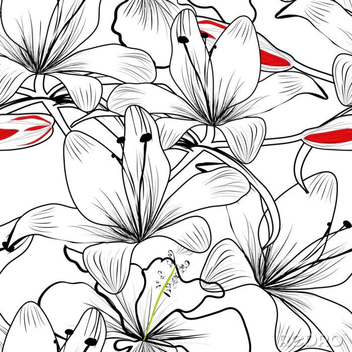 Fototapete nahtlose Muster mit Blumen der weißen Lilie
