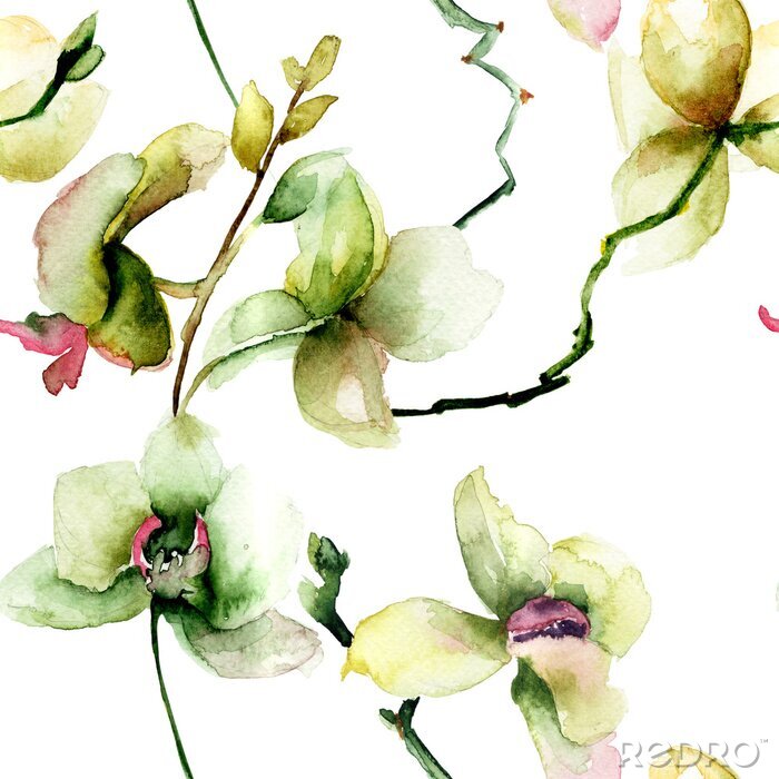 Fototapete Nahtlose Muster mit schönen Orchidee