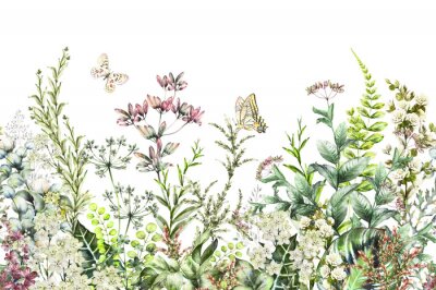 Fototapete Nahtlose rand Grenze mit Kräutern und wilden Blumen, Blätter. Botanische Illustration Bunte Illustration auf weißem Hintergrund. Frühlingszusammensetzung mit Schmetterling