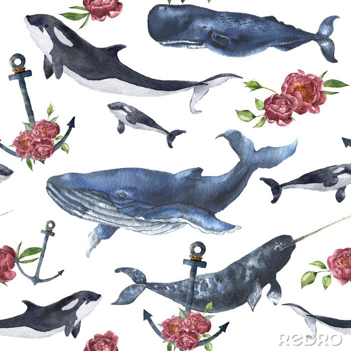 Fototapete Nahtloses Muster des Aquarells mit Walen und Anker, Pfingstrosenblume