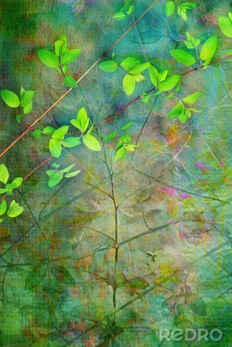 Fototapete Natürlicher Hintergrund mit Blättern