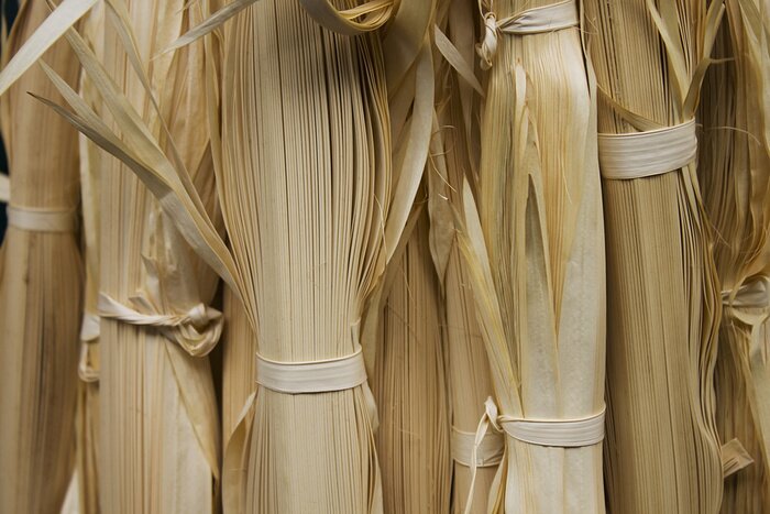 Fototapete Natürliches Motiv von Getreide