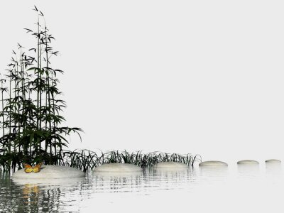 Fototapete Natur 3D Effekt Zen