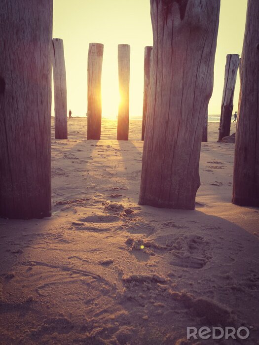 Fototapete Natur am Meer