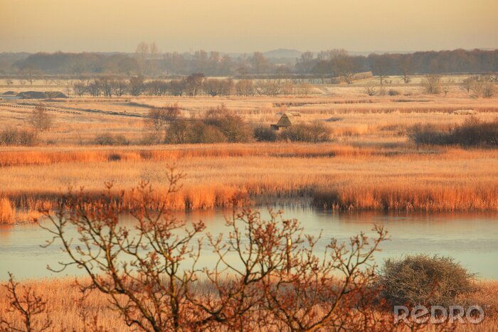 Fototapete Natur außergewöhnlich