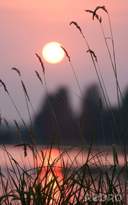 Fototapete Natur bei Sonnenuntergang am See