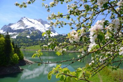Natur der Schweiz
