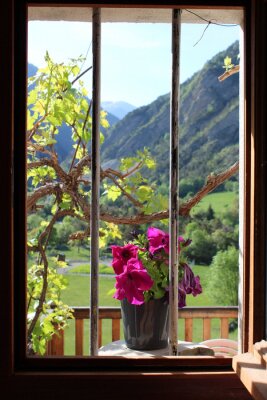 Fototapete Natur hinter dem fenster