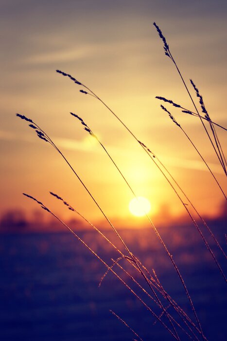 Fototapete Natur märchenhaft