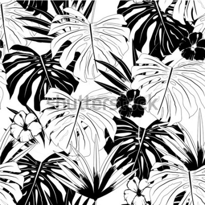 Fototapete Natur schwarz-weiß