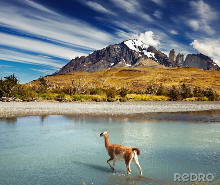 Fototapete Natur und Berge in Chile