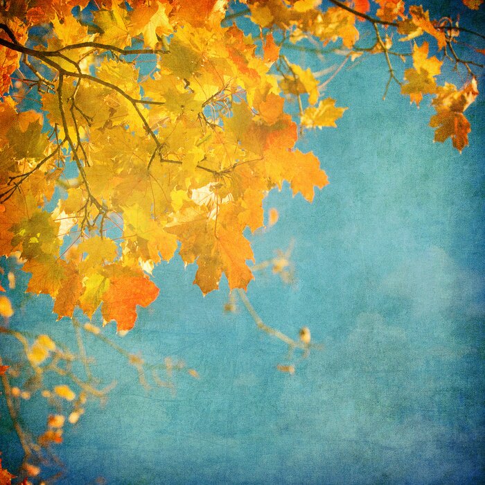 Fototapete Natur und Blätter