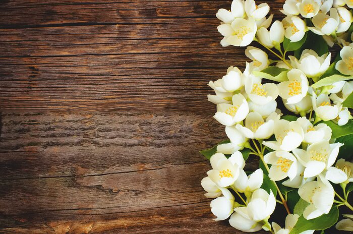 Fototapete Natur und Bretter