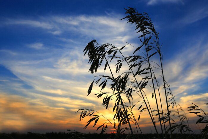 Fototapete Natur und schöner Himmel