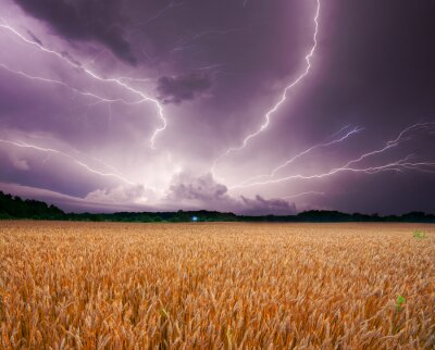 Natur und Sturm über dem Feld