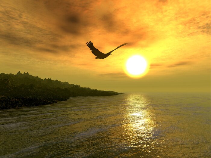 Fototapete Natur und Wald an einem ruhigen See