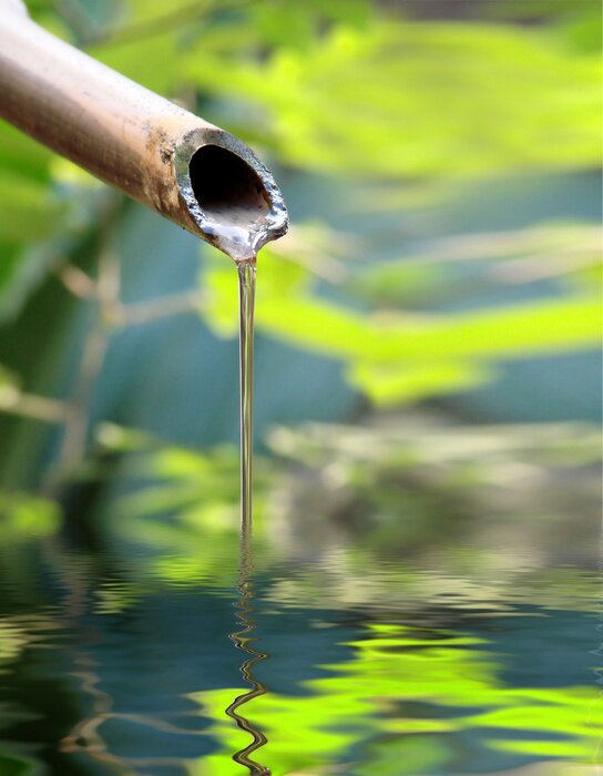 Fototapete Natur und Wasser