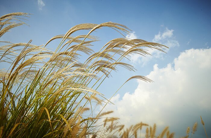 Fototapete Natur und Wolken