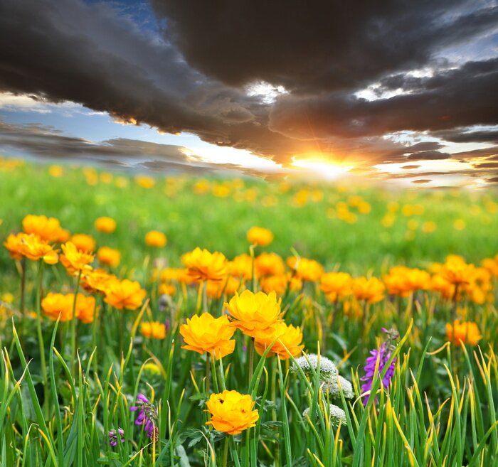 Fototapete Natur unter bewölktem Himmel