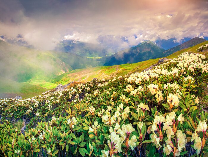 Fototapete Natur vom Kaukasus