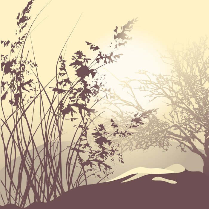 Fototapete Natur vor Hintergrund der untergehenden Sonne