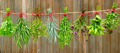 Naturkräuter auf rustikalen Brettern