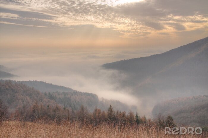 Fototapete Nebel im Tal