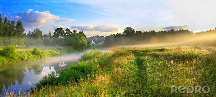 Fototapete Nebel über einem Feld