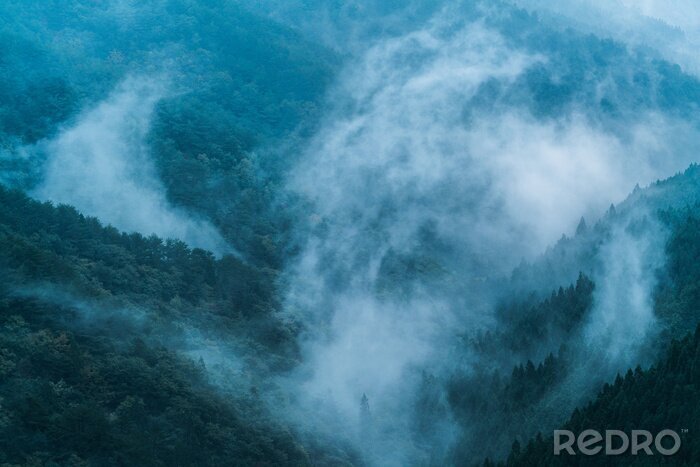 Fototapete Nebelwald in japan