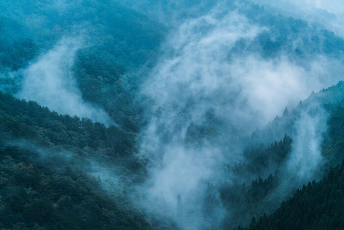 Fototapete Nebelwald in japan