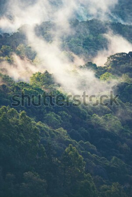 Fototapete Neblige Landschaft von bewaldeten Berghängen