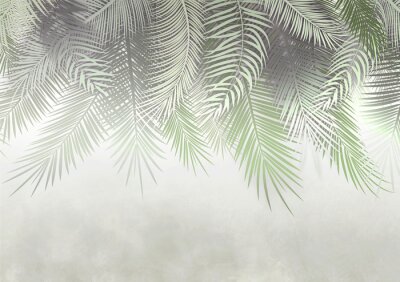 Fototapete Neblige Palmblätter an der Wand