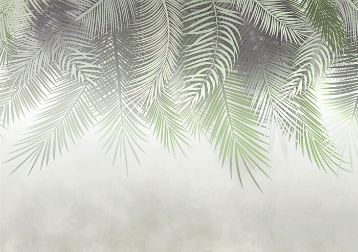 Fototapete Neblige Palmblätter an der Wand