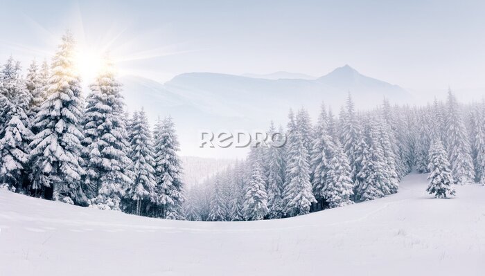 Fototapete Neblige Winterlandschaft in den Bergen