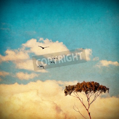 Fototapete Nebliger Himmel über Stadt