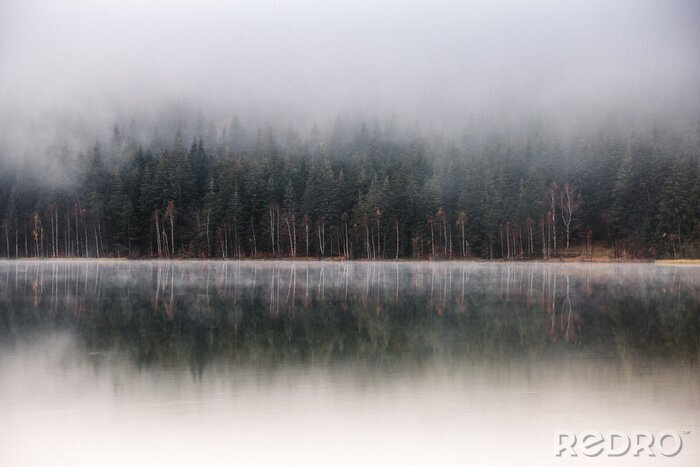 Fototapete Nebliger Morgen am See im Herbst