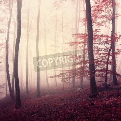 Fototapete Nebliger wald in marsala-tönen