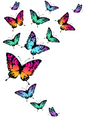 Fototapete Neon-Schmetterlinge