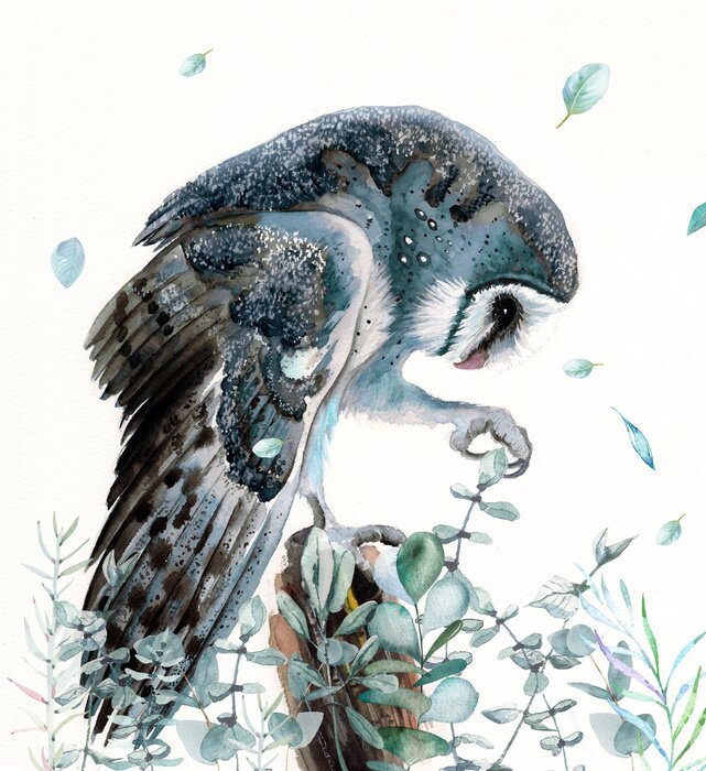 Fototapete Niedliche Schleiereule mit Aquarellfarben gemalt