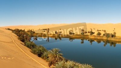 Fototapete Oase mit See in der Wüste