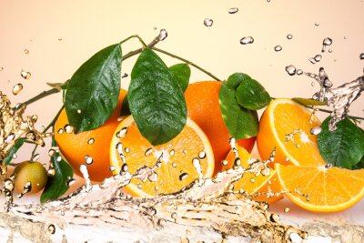 Fototapete Obst Wasser Orangen