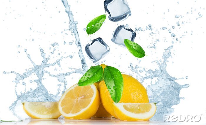 Fototapete Obst Wasser Zitrone mit Minze