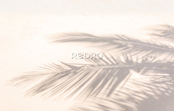 Fototapete Ombre de palmes sur plage de sable doré